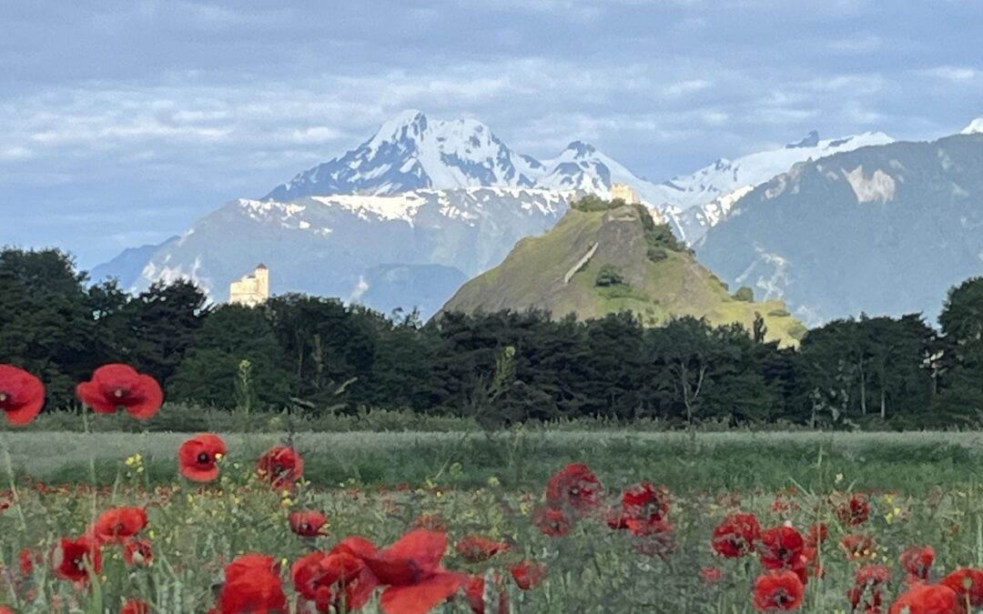 L’été fut beau et chaud, l’automne le sera aussi.